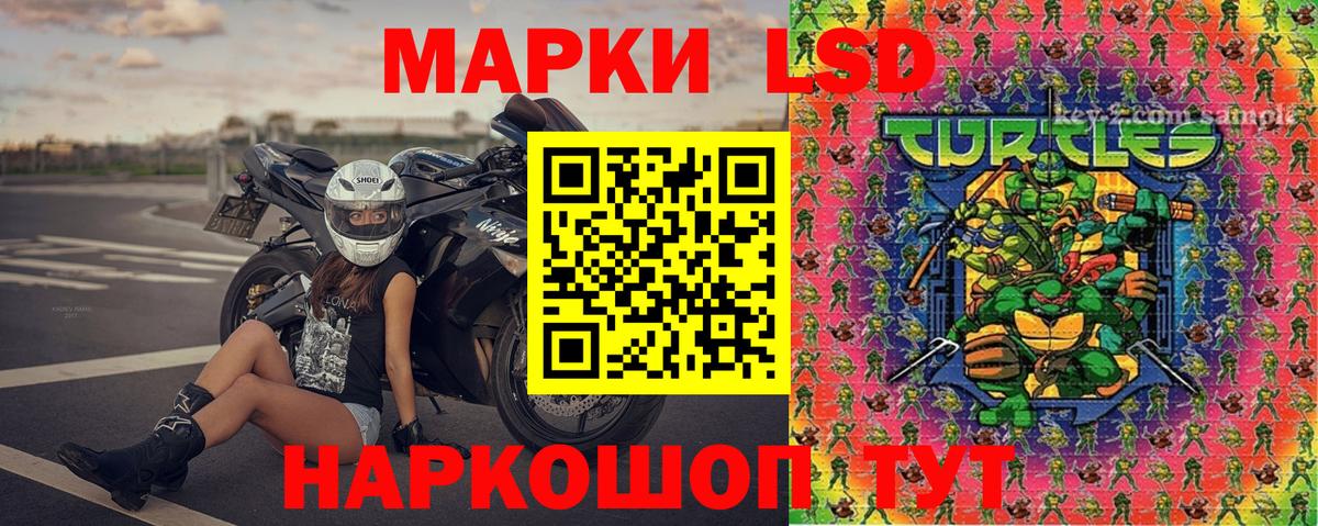 Марки N-bome 1,5мг  Марки N-bome 1,5мг  Вход с VPN  Новозыбков 